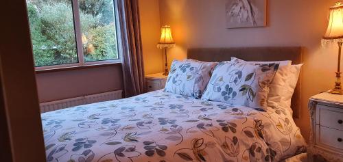 1 dormitorio con 1 cama y 2 ventanas en Rosemount, en Sligo