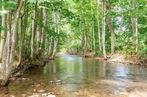 WeavervilleにあるSerenity Views Retreat - Close to City and Parkway!の木々の森の中流れ