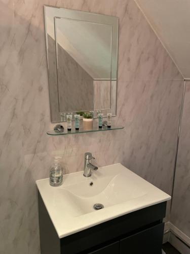 a bathroom with a white sink and a mirror at The Fountain Inn & Riverside Restaurant in Okehampton