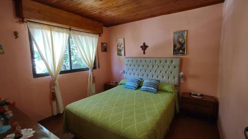 a bedroom with a green bed with two blue pillows at La Galleguita in Colón