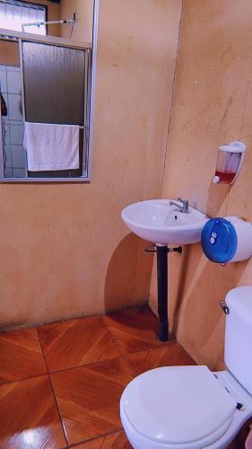 La salle de bains est pourvue d'un lavabo et de toilettes. dans l'établissement Alpha Arenal, à Fortuna