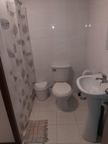 a bathroom with a toilet and a sink at Pichidangui, Las Rosas casa 4 personas in Pichidangui