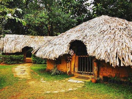 Jardín al aire libre en Hasthi Safari Cottage