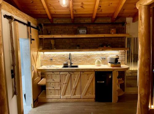 una cucina con lavandino e bancone in una cabina di Νύμφες Σαλέ Αλκυόνη 