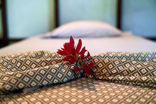 a red flower sitting on top of a bed at Luz En El Cielo Eco-B&B/Hostel in Montezuma