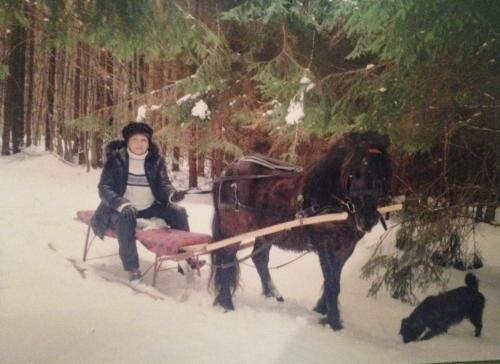a woman sitting on a horse drawn sleigh in the snow at CASUTA CU FLORI in Vîlcele