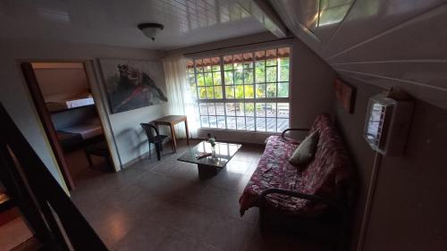 巴拿馬城的住宿－Toucan Place，带沙发和窗户的客厅