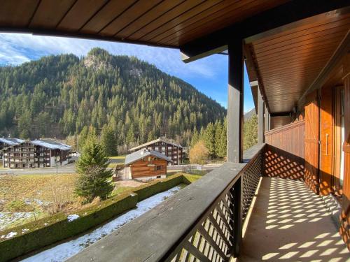 Appartement charmant, proche centre et animaux admis