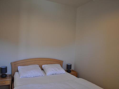 Appartement lumineux 2 chambres, proche télécabine, centre-ville Châtel