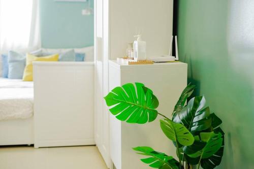 a green plant in a room with a mirror at Vicar Home by Serin East Tagaytay in Tagaytay