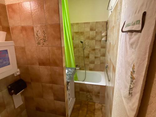 uma casa de banho com um chuveiro com uma banheira e uma cortina de chuveiro em Studio Châtel, 1 pièce, 4 personnes - FR-1-693-57 em Châtel