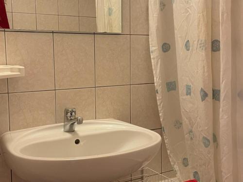une salle de bain avec un lavabo et un rideau de douche dans l'établissement Confortable studio à 200m du centre avec Multi Pass été à 3€/jour, parking et balcon exposé Sud - FR-1-693-66, à Châtel