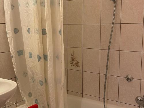 Studio confortable au centre de Châtel avec parking
