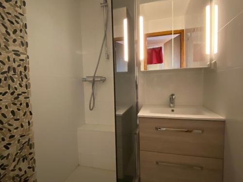 une salle de bain avec un lavabo et une douche dans l'établissement Charmant appartement près des pistes, avec mezzanine et balcon, parking et WIFI à Châtel - FR-1-693-70, à Châtel