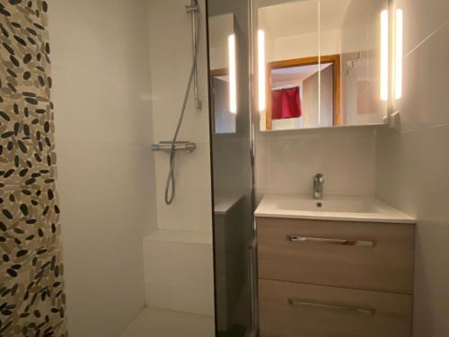 uma casa de banho com um lavatório e um chuveiro em Appartement Châtel, 2 pièces, 4 personnes - FR-1-693-70 em Châtel