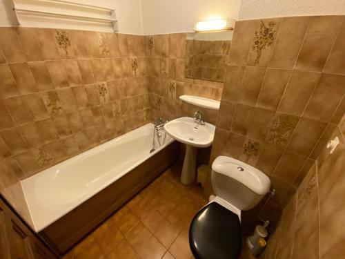 Koupelna v ubytování Studio cosy proche des pistes avec animaux admis - FR-1-692-64