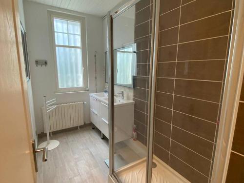 une salle de bain avec une douche avec un lavabo et des toilettes dans l'établissement À 350 m de la plage, superbe T3 rénové avec terrasse et jardin, quartier calme, internet inclus - FR-1-433-92, à Arcachon