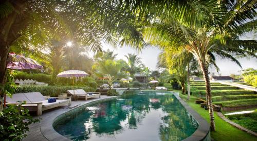 a swimming pool with palm trees and a resort at Blue Karma Dijiwa Ubud in Ubud