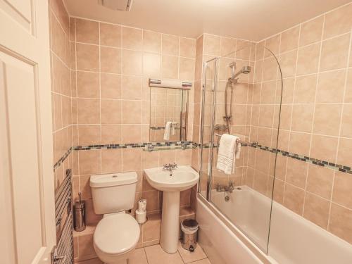 La salle de bains est pourvue de toilettes, d'un lavabo et d'une douche. dans l'établissement Loughrigg View, à Ambleside