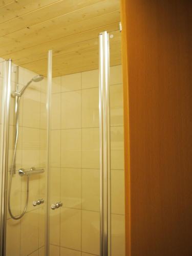 a shower with a glass door in a bathroom at Ferienhaus Durig in Gaschurn