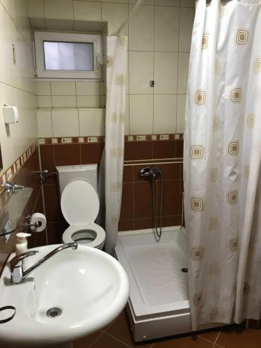 y baño con aseo, lavabo y ducha. en Vince Apartments, en Kruševo