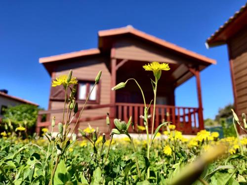 Edificio en el que se encuentra el camping