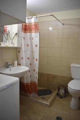 y baño con ducha, lavabo y aseo. en Tzoumerka Guest House, en Rámia