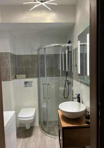 a bathroom with a shower and a sink and a toilet at Kawalerka Wałowa 3 in Wejherowo