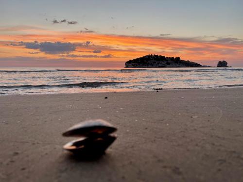 a shell on the beach with an island in the background at Hotel Portonuovo in Vieste