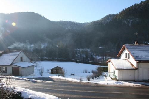 Appartement le HOHNECK in de winter