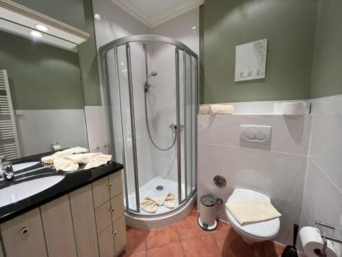 a bathroom with a shower and a toilet and a sink at Robbe in Westerland