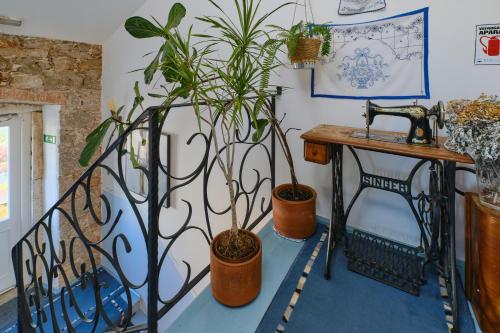 two plants in pots sitting next to a table at Mare Mare Suites in Mali Lošinj