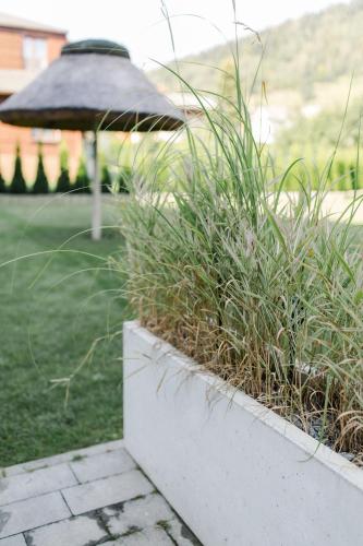 a concrete planter with grass in a yard at Villa Monica Apartamenty in Szczyrk