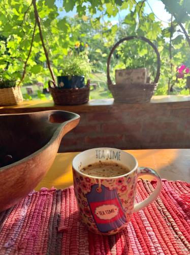a cup of coffee sitting on a table next to a window at Amanet House Zasavica in Zasavica