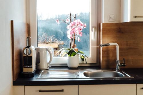 un comptoir de cuisine avec un évier et une fenêtre dans l'établissement Vulkanland Stoeckel - Feldbach, à Feldbach