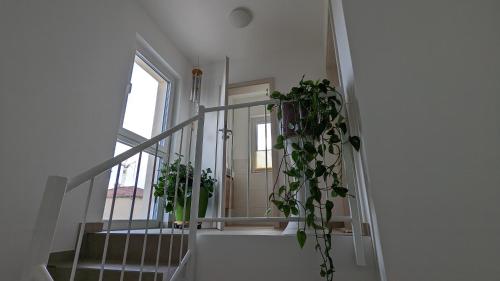 Φωτογραφία από το άλμπουμ του Gästehaus Freystadt σε Freystadt