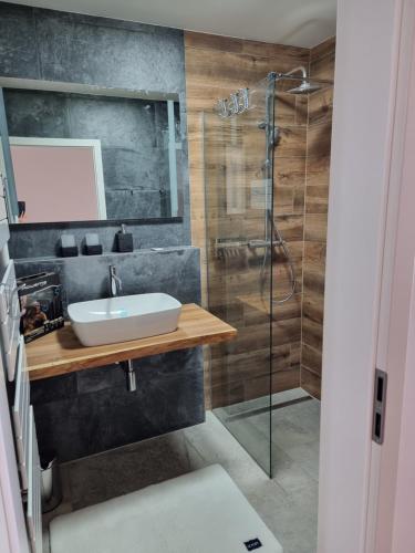 a bathroom with a sink and a shower at Apartment Max in Loučná pod Klínovcem