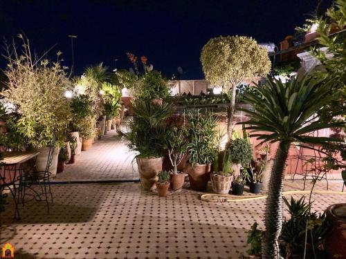 Gallery image of Riad Toyour- Riad of birds in Fez
