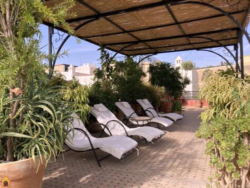 Gallery image of Riad Toyour- Riad of birds in Fez