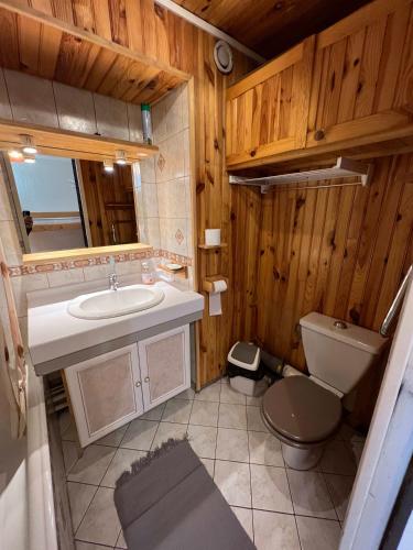 瓦托倫斯的住宿－Cosy Condo Ski-In Out Val Thorens，一间带水槽和卫生间的浴室