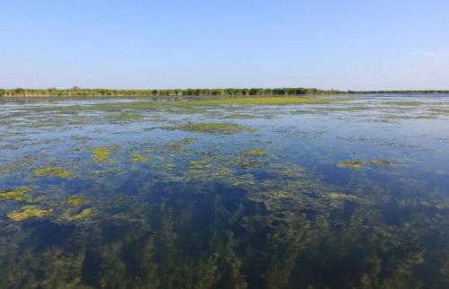 Gambar di galeri bagi Casa Patru Anotimpuri di Dunavăţu de Jos