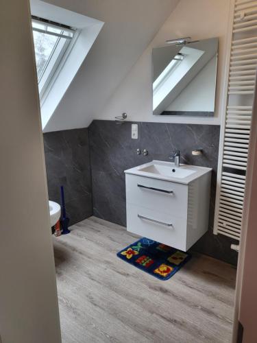 a bathroom with a sink and a mirror at Urlaub im blauen Haus in Sehestedt
