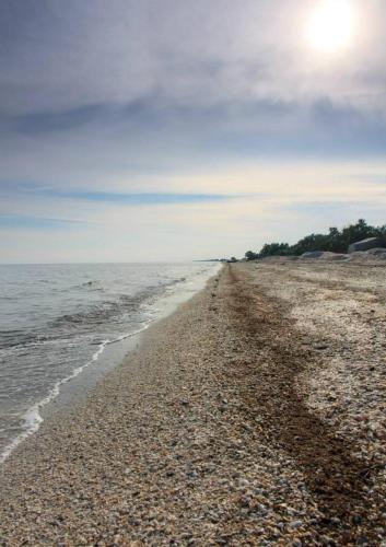 Gambar di galeri bagi Casa Patru Anotimpuri di Dunavăţu de Jos