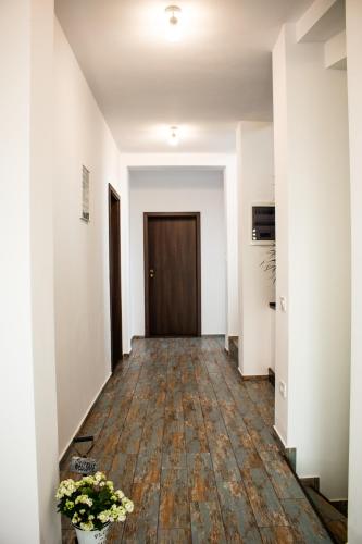 Φωτογραφία από το άλμπουμ του Vila Sol σε Prejmer