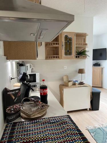 une cuisine avec un réfrigérateur et un plan de travail dans l'établissement Appartement balinais Lumineux et calme, à Avignon