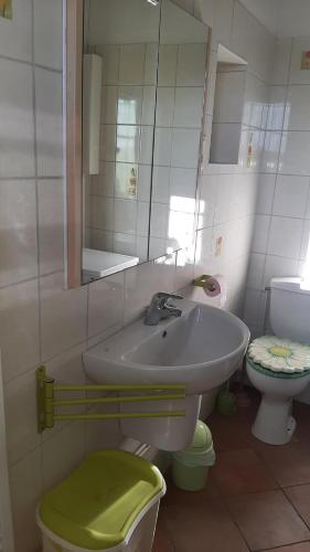 une salle de bain avec un lavabo, des toilettes et un miroir dans l'établissement Charmant Logement T2 campagne, à Saint-Ferréol-dʼAuroure