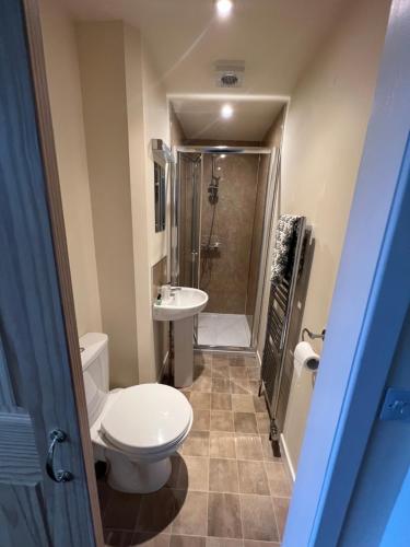 ein Bad mit einem WC, einem Waschbecken und einer Dusche in der Unterkunft Saucy Mary's Hostel in Kyleakin