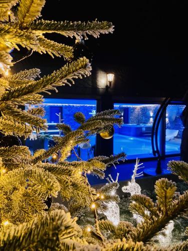 a christmas tree with lights in a room at Ferienhof A&B Wellness Villa 6 personen in Bullange