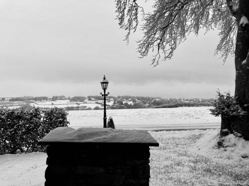 a street light in the snow next to a tree at Tiny House - Luxury Cottage in Bullange