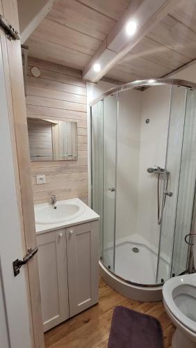 uma casa de banho com um chuveiro, um lavatório e um WC. em Apartamenty EverySky - Domek Koło Karpacza em Myslakowice